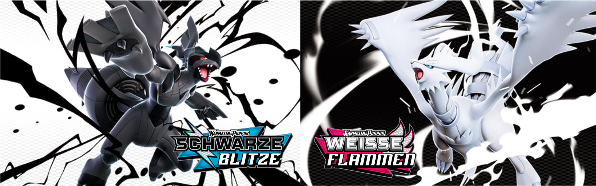 Schwarze Blit2
