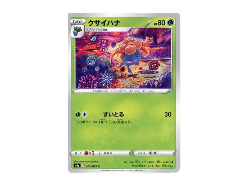 Duflor 002/067 - Common (s9a) - BattleofCards