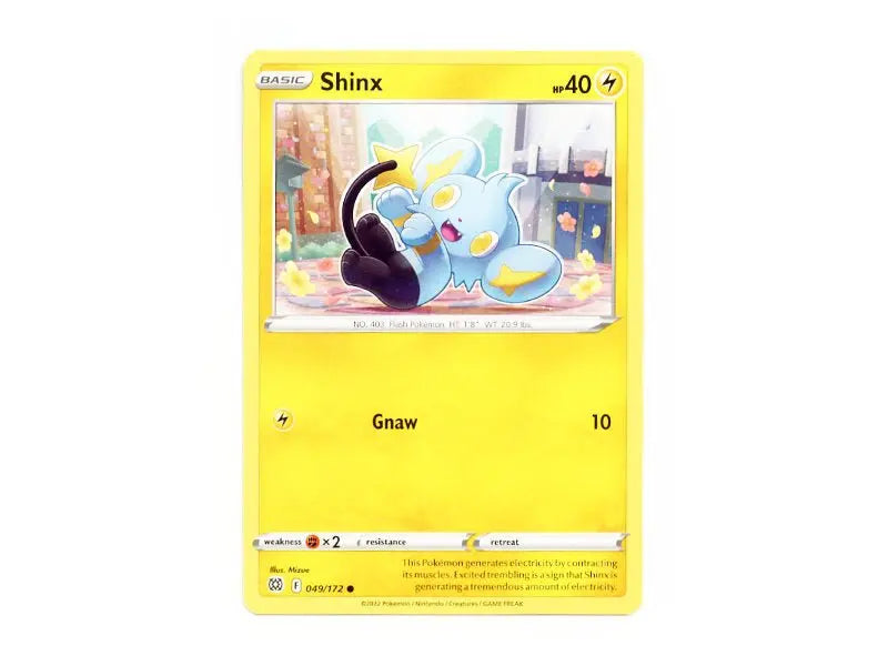 Shinx 049/172 - Common - Einzelkarten - BattleofCards